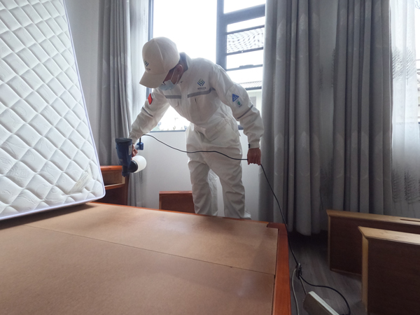 蒼山別墅民宿除甲醛治理施工現(xiàn)場(chǎng)